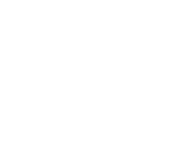 Capital Properties